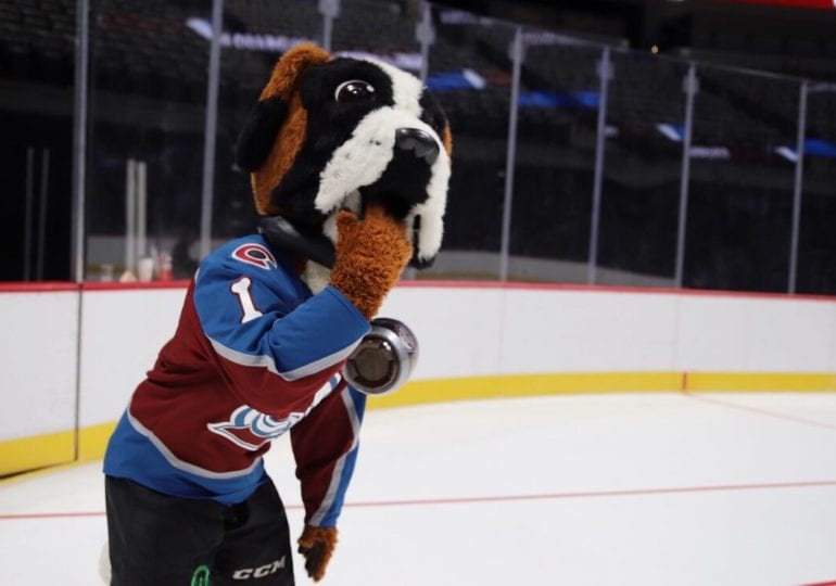 Maskottchen der NHL-Teams #5: Colorado Avalanche