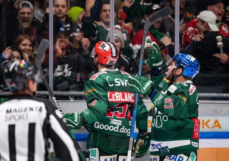 DEL-Spielvorschau: Straubing Tigers gegen Augsburger Panther