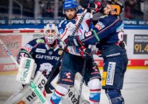 Eisbären gegen Adler: Playoff-Spannung im Fünfjahrestakt