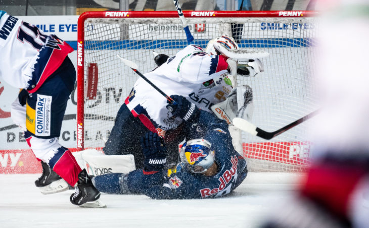 Brennpunkt Berlin: Eisbären am Abgrund